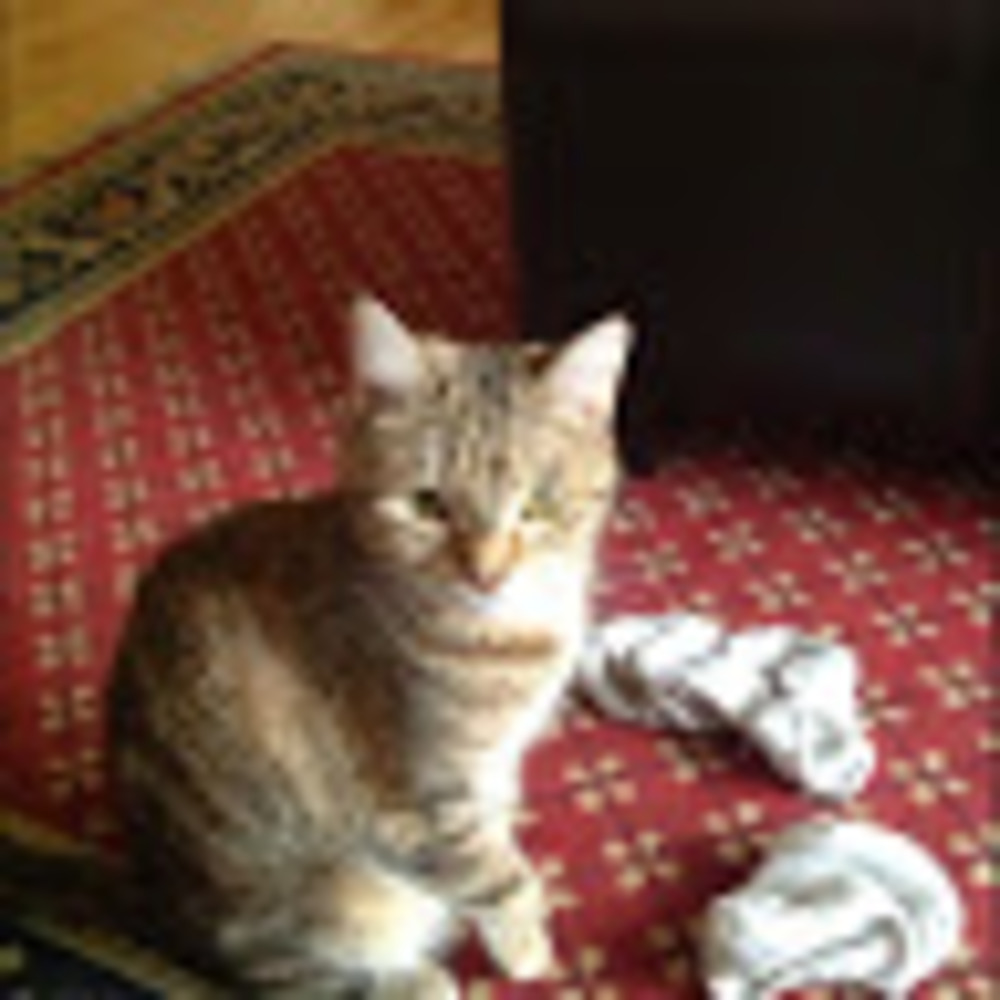 Meet your Posher, The